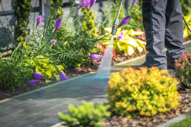Best Restaurant Pressure Washing  in Potomac, MD